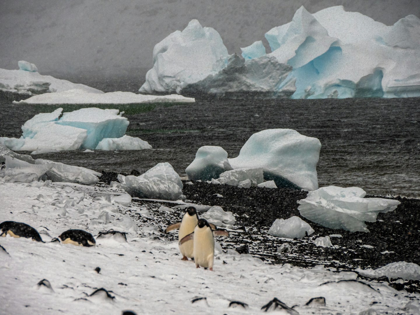 South Orkney Islands