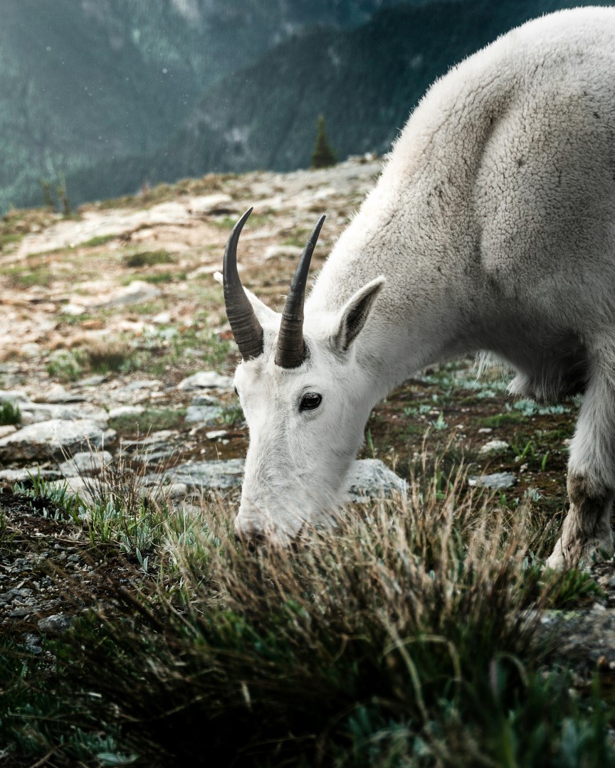  Photo Credit: Photo by Brayden Prato on Unsplash