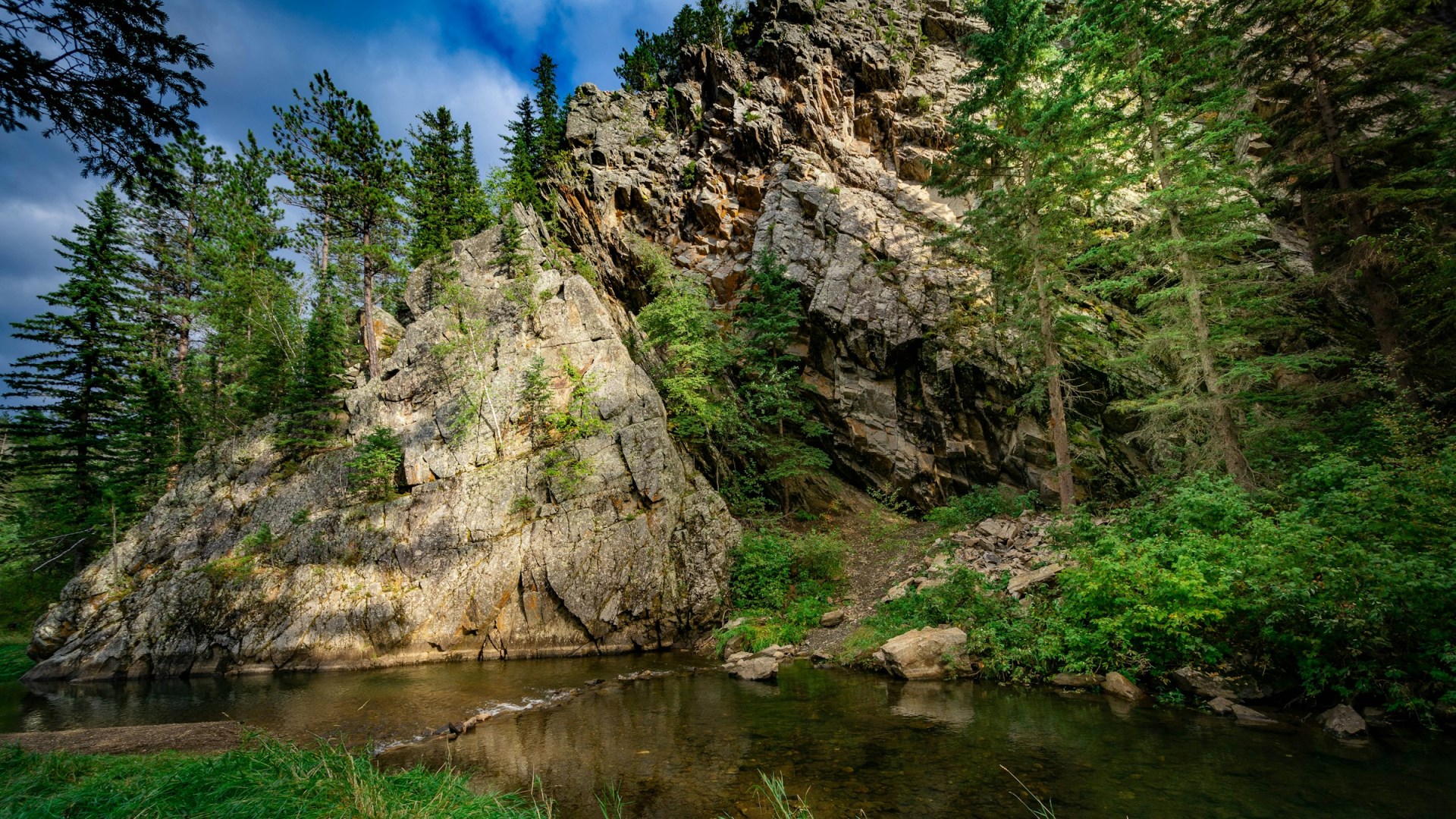 Black Hills National Forest