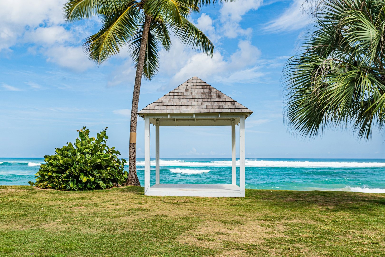  Photo Credit: Photo by AL Seveni on Unsplash