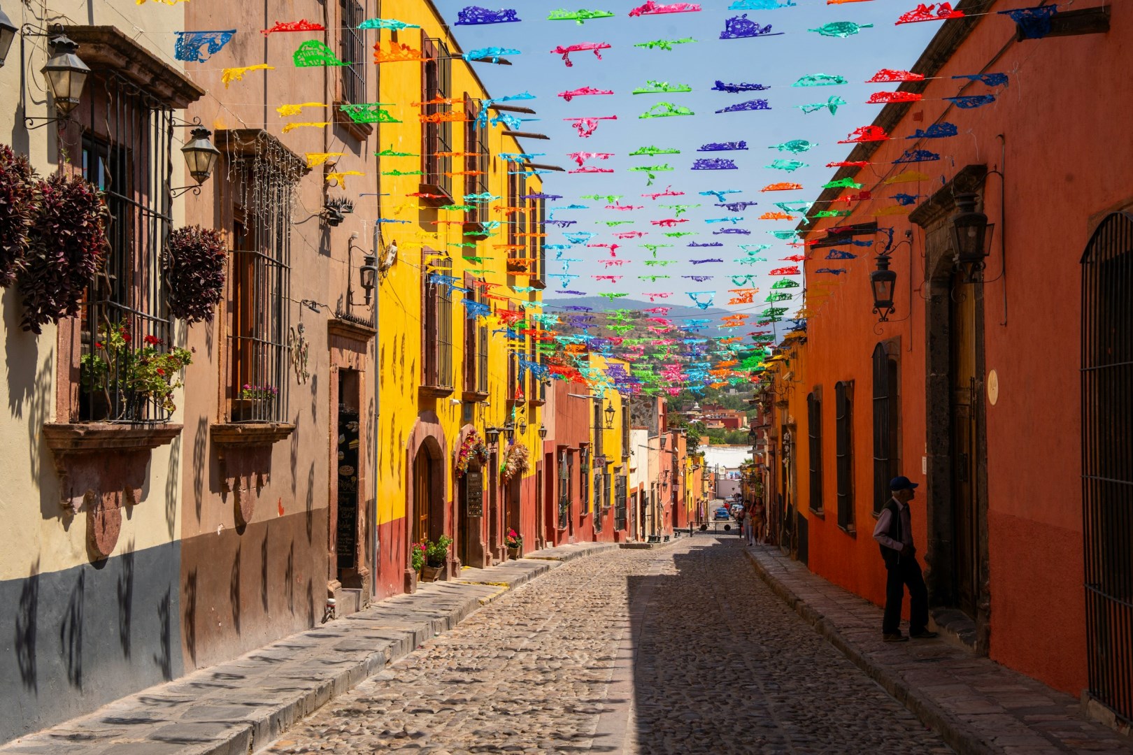  Photo Credit: Photo by Shane Lopez on Unsplash