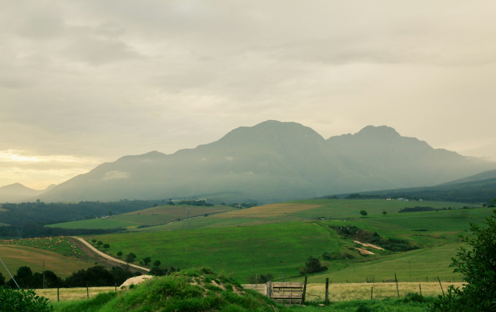  Photo Credit: Photo by Glen Carrie on Unsplash