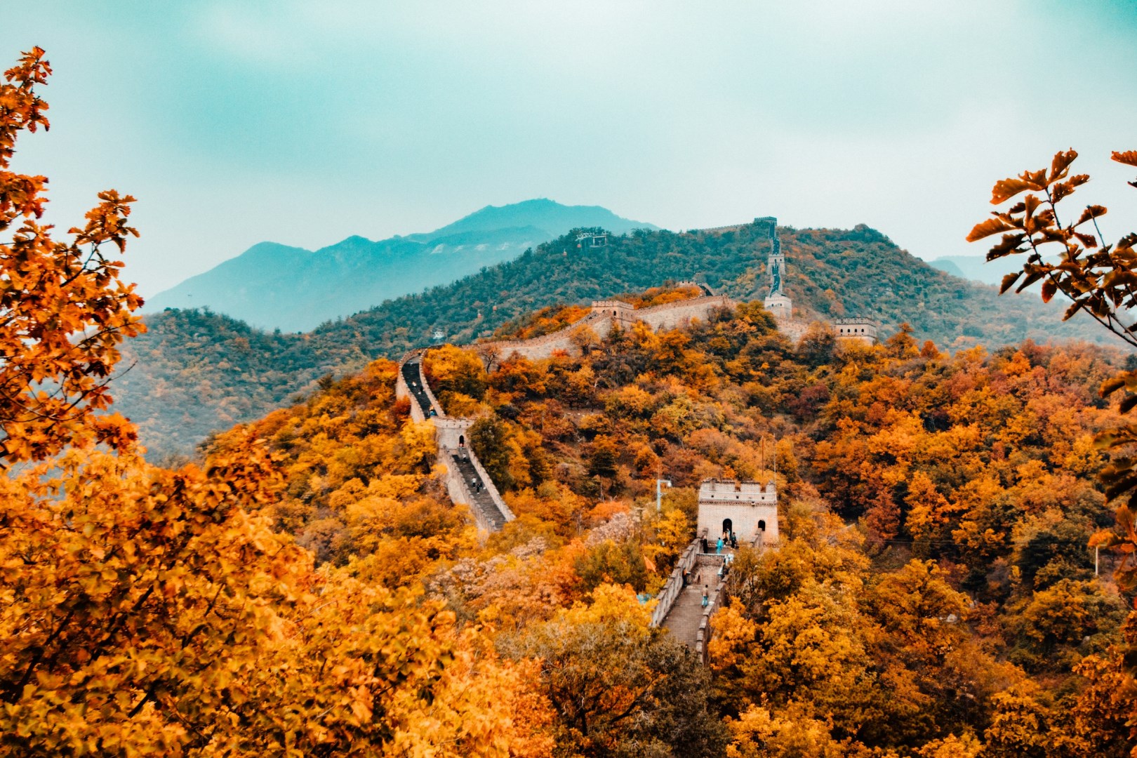  Photo Credit: Photo by Hanson Lu on Unsplash