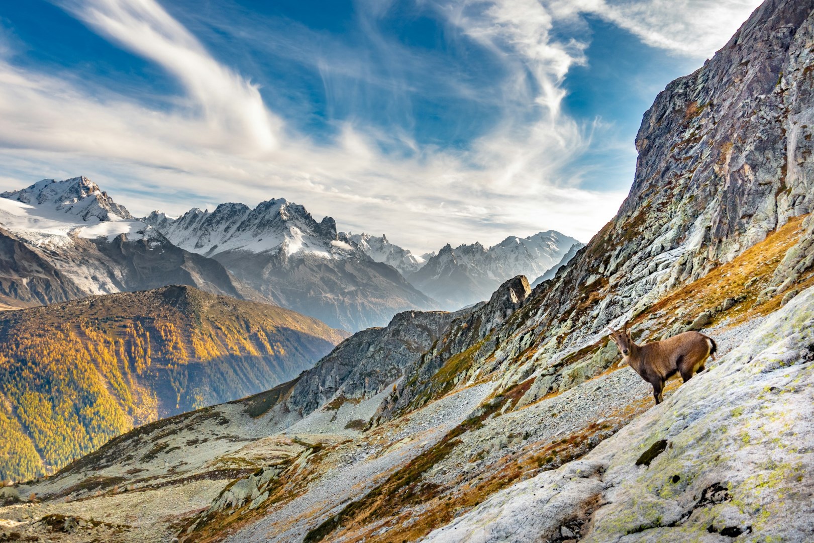  Photo Credit: Photo by Sylvain Mauroux on Unsplash
