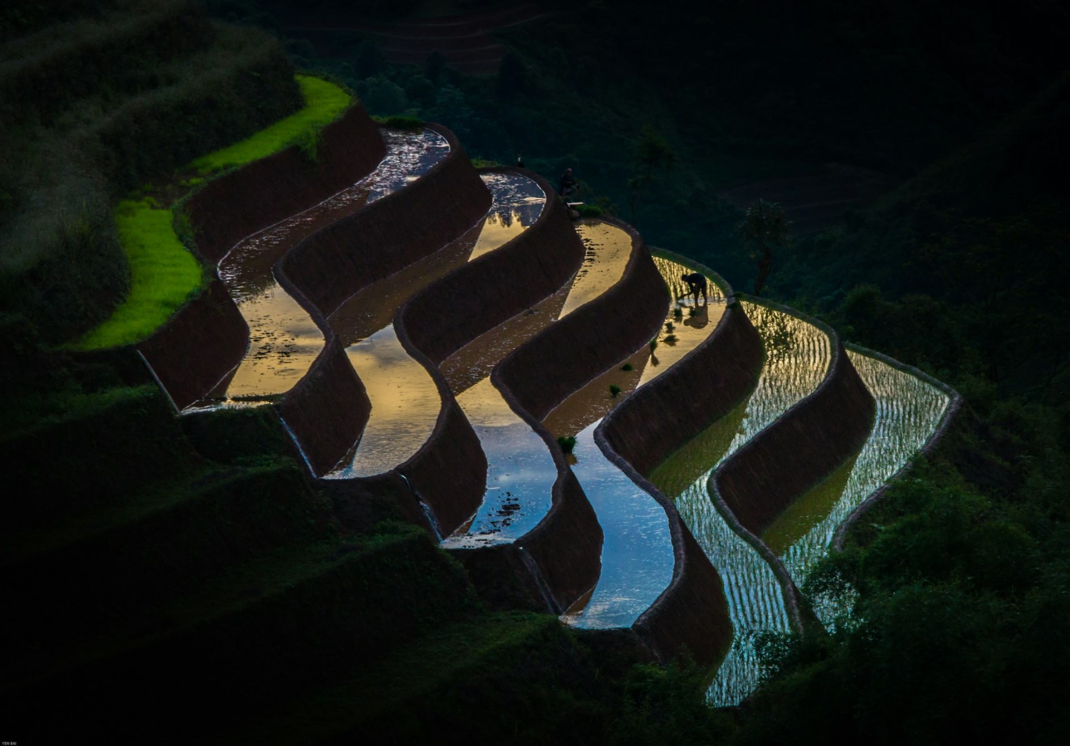  Photo Credit: Photo by Tuệ Nguyễn on Unsplash