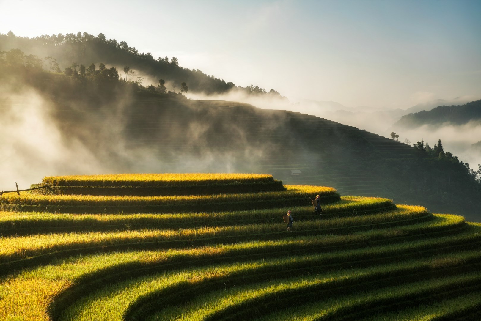 Mù Cang Chải