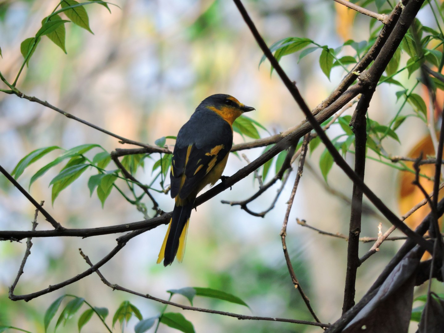  Photo Credit: Photo by Deep Gupta on Unsplash