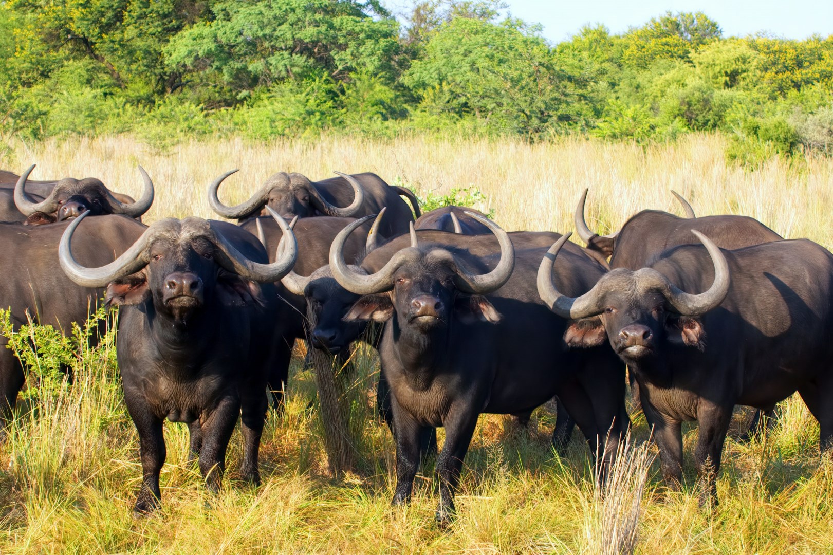 Mbombela