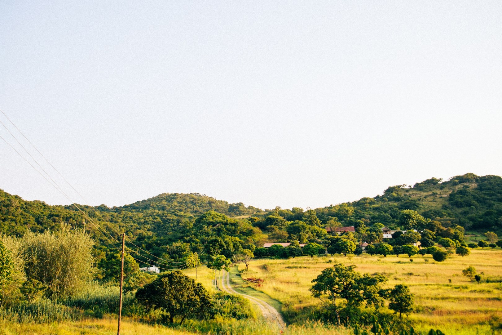  Photo Credit: Photo by Teddy Kubheka on Unsplash