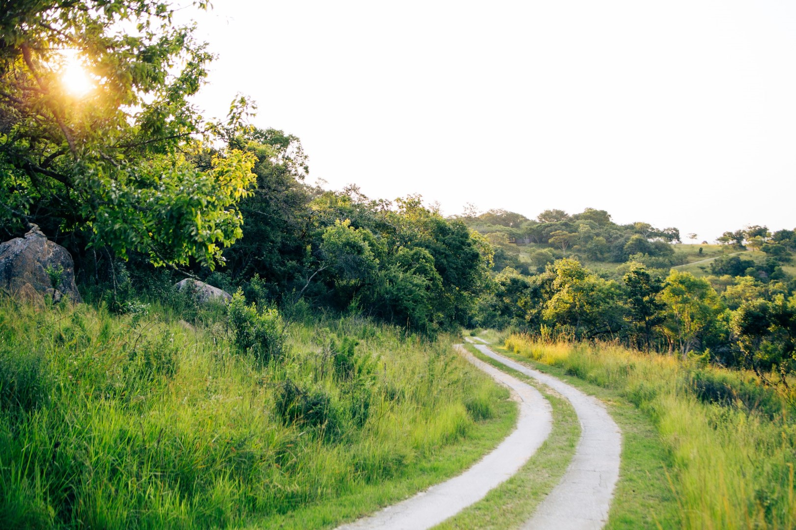  Photo Credit: Photo by Teddy Kubheka on Unsplash