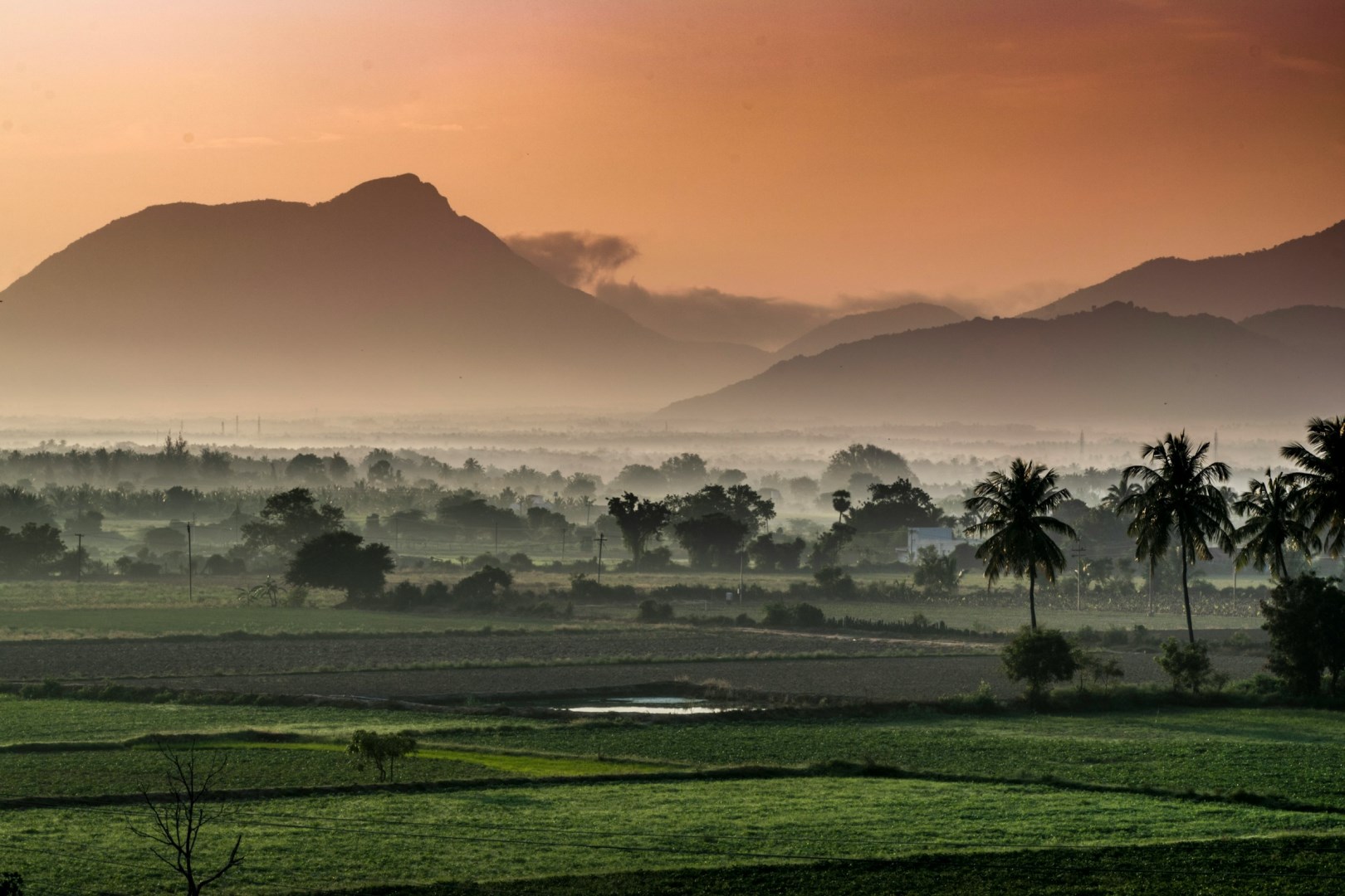 Tamil Nadu