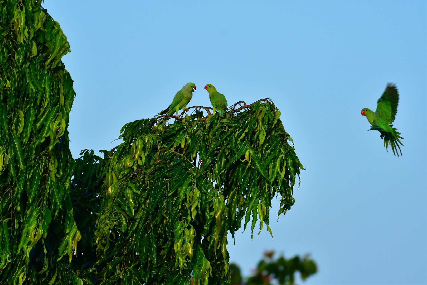  Photo Credit: Photo by Sreenivas on Unsplash