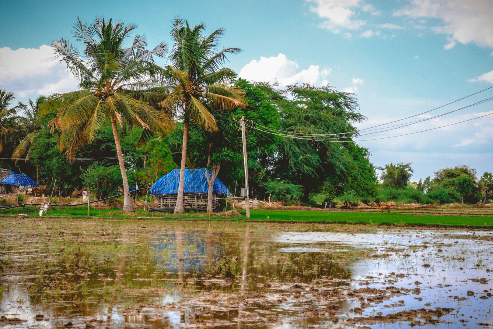  Photo Credit: Photo by Gowtham AGM on Unsplash