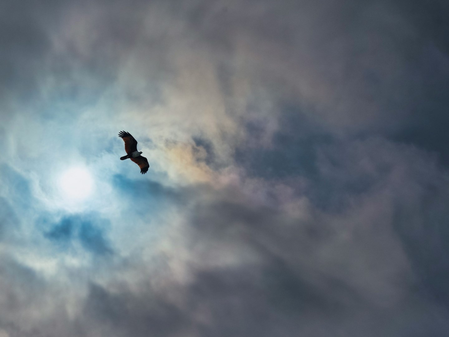  Photo Credit: Photo by DICSON on Unsplash