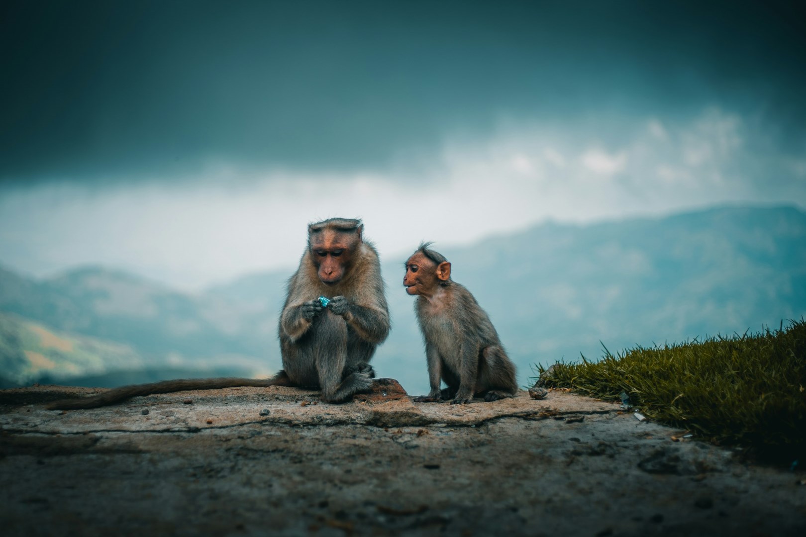  Photo Credit: Photo by Ahmed Zayan on Unsplash