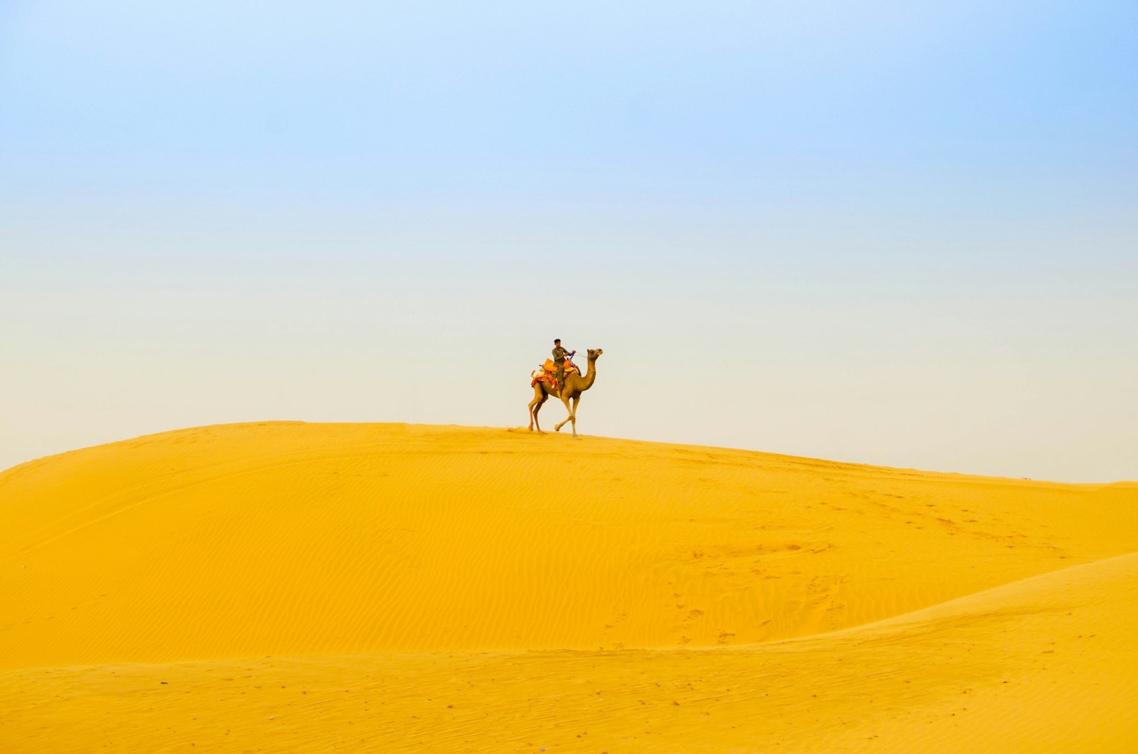  Photo Credit: Photo by Arka Roy on Unsplash