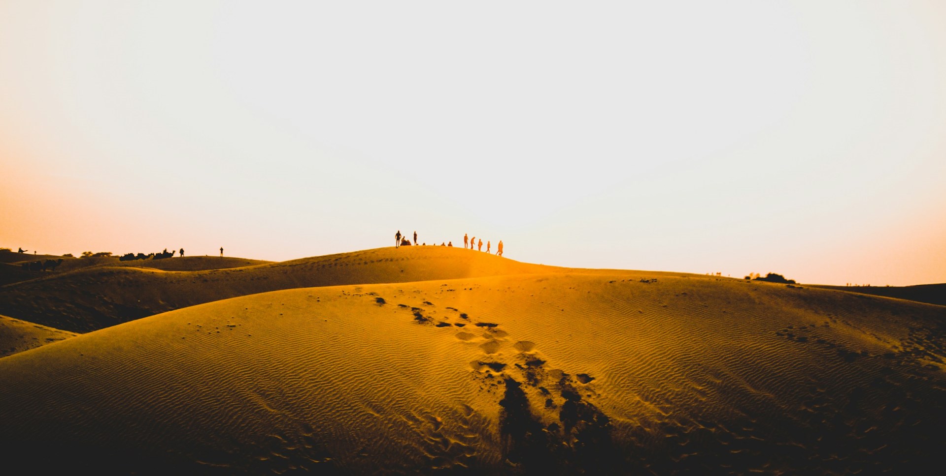 Thar Desert