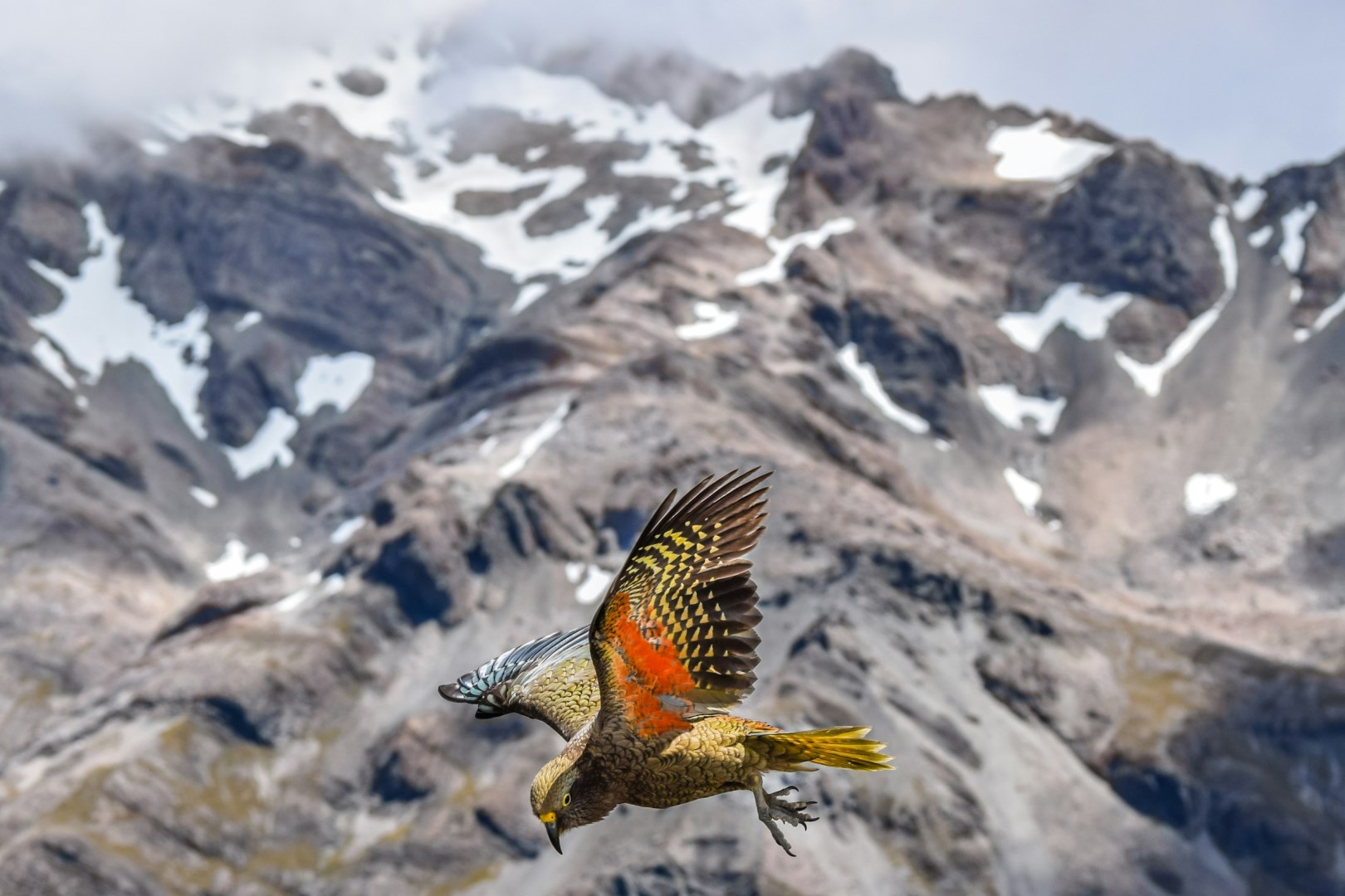 Arthur's Pass