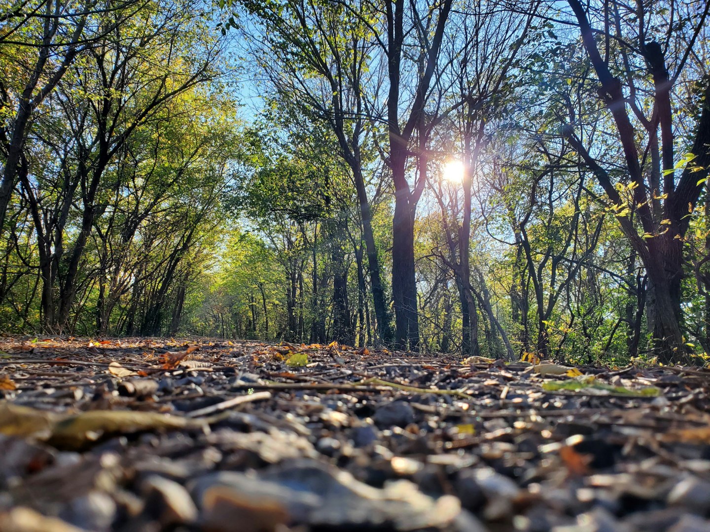  Photo Credit: Photo by Dorian François on Unsplash