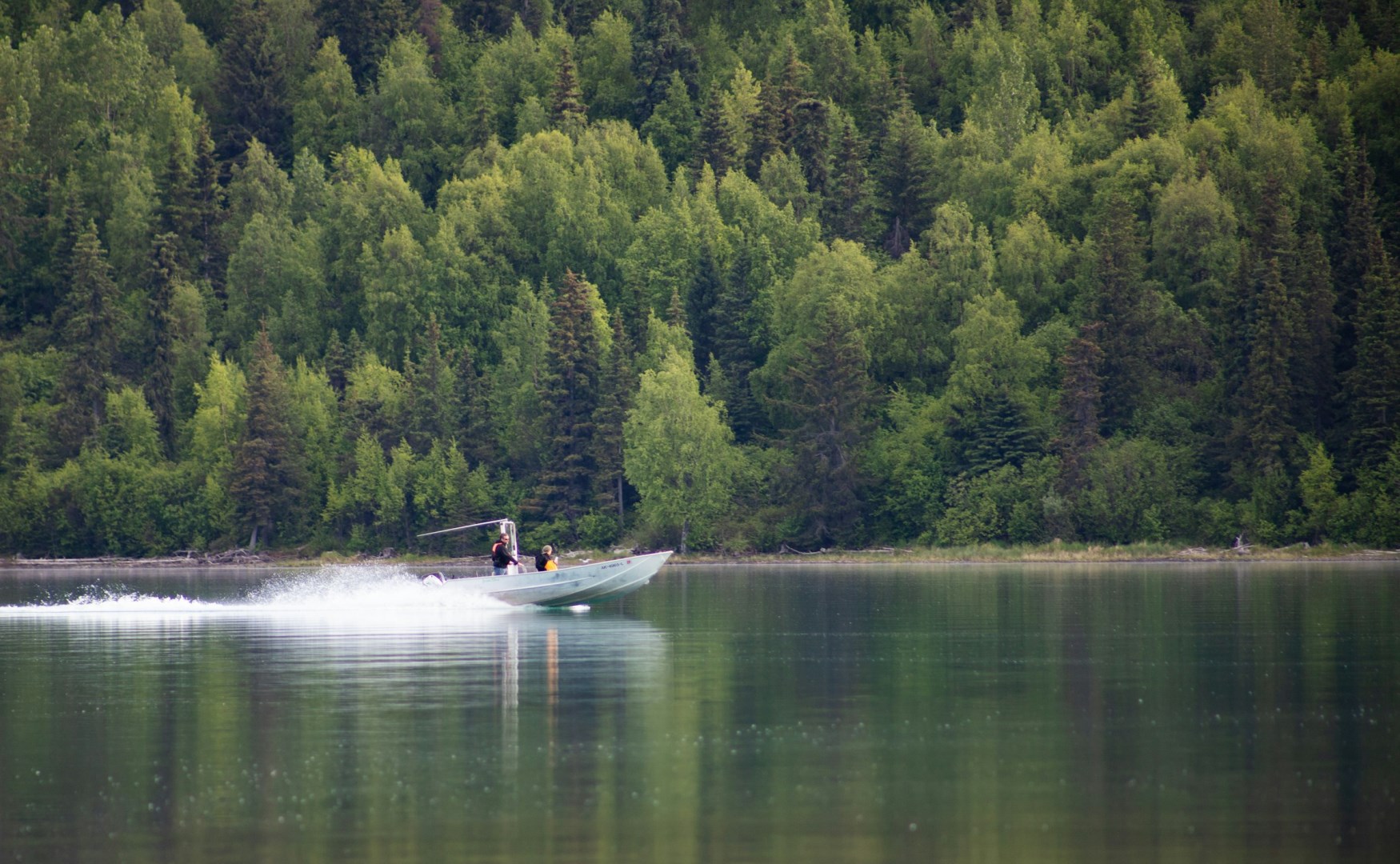 Kenai Peninsula
