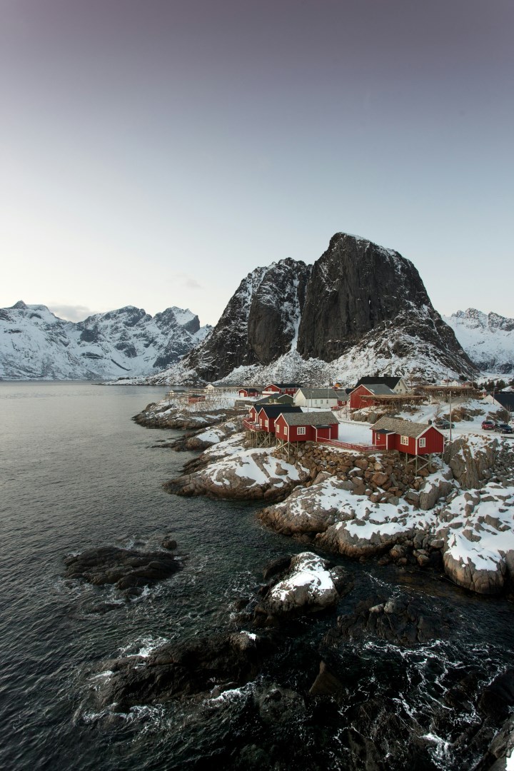 Reine