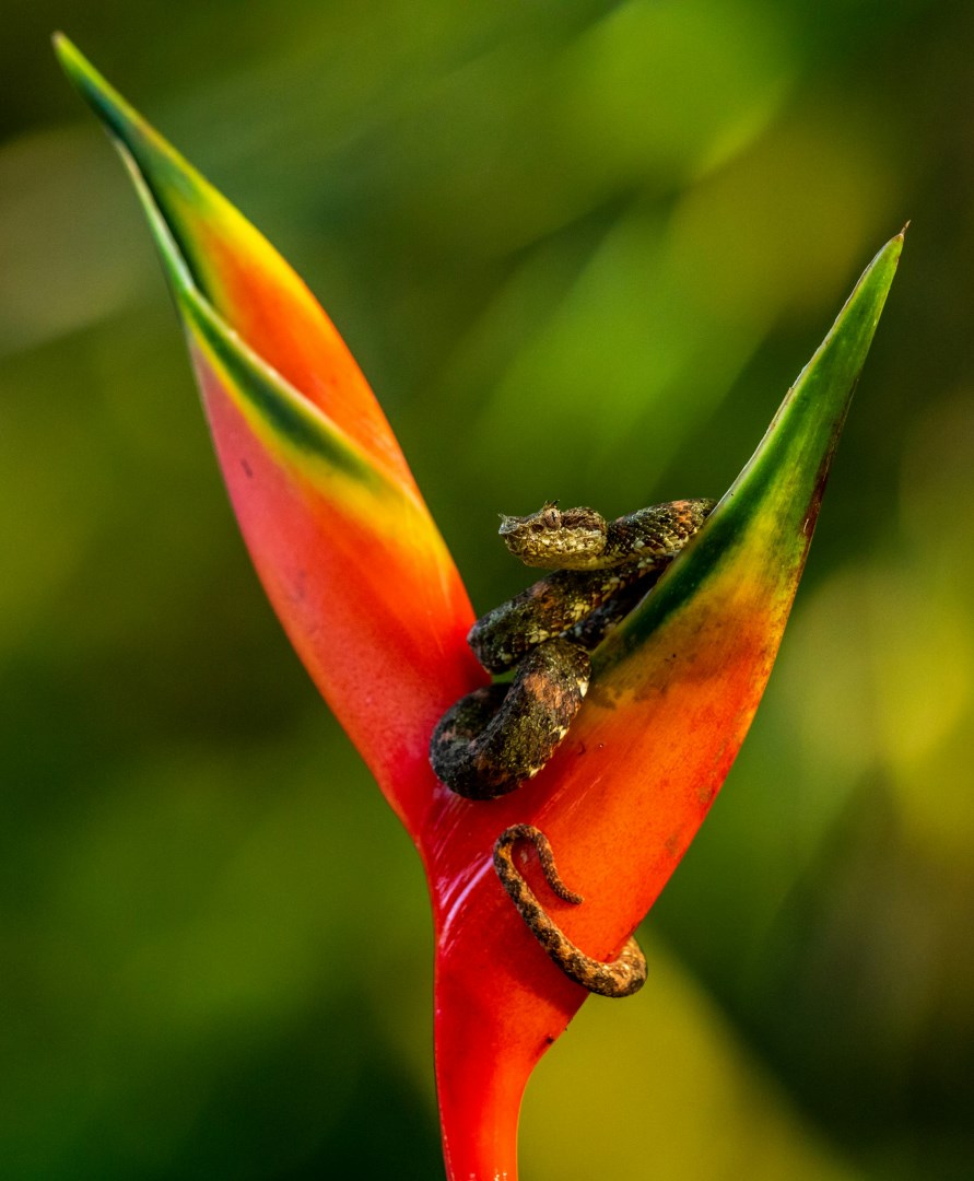  Photo Credit: Photo by Zdeněk Macháček on Unsplash