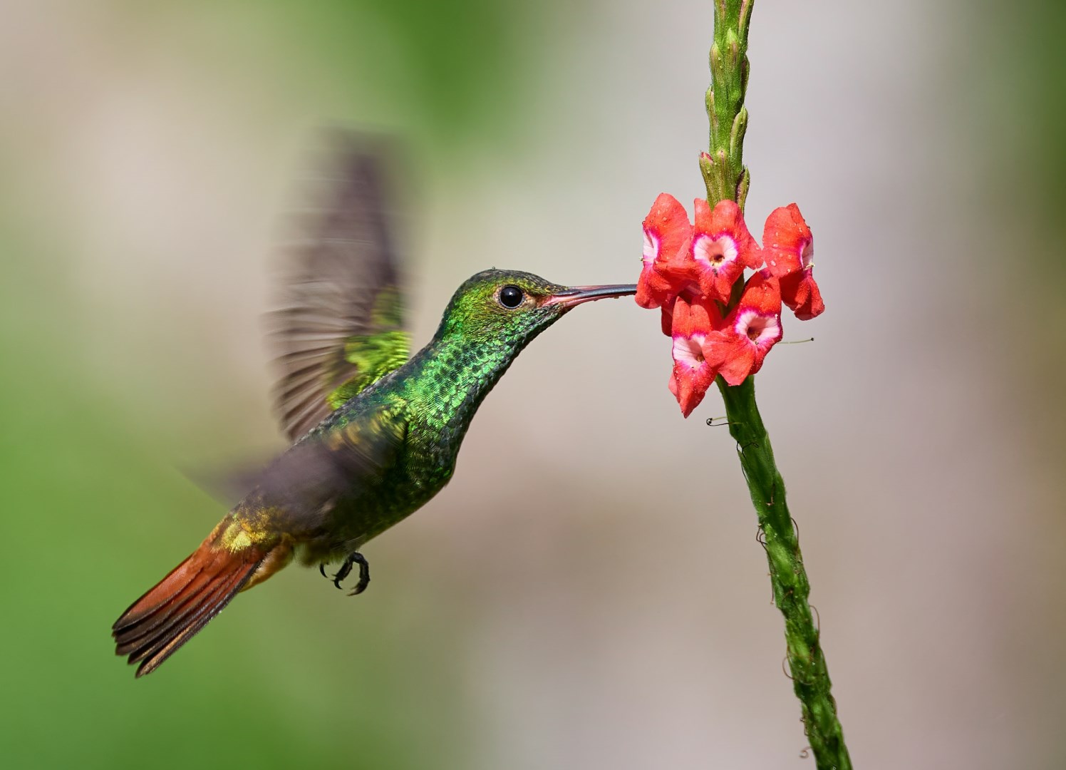  Photo Credit: Photo by Zdeněk Macháček on Unsplash