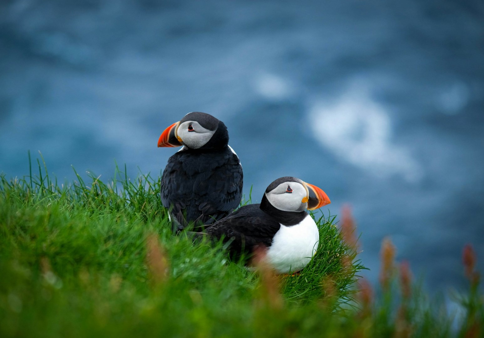  Photo Credit: Photo by Jessica Pamp on Unsplash