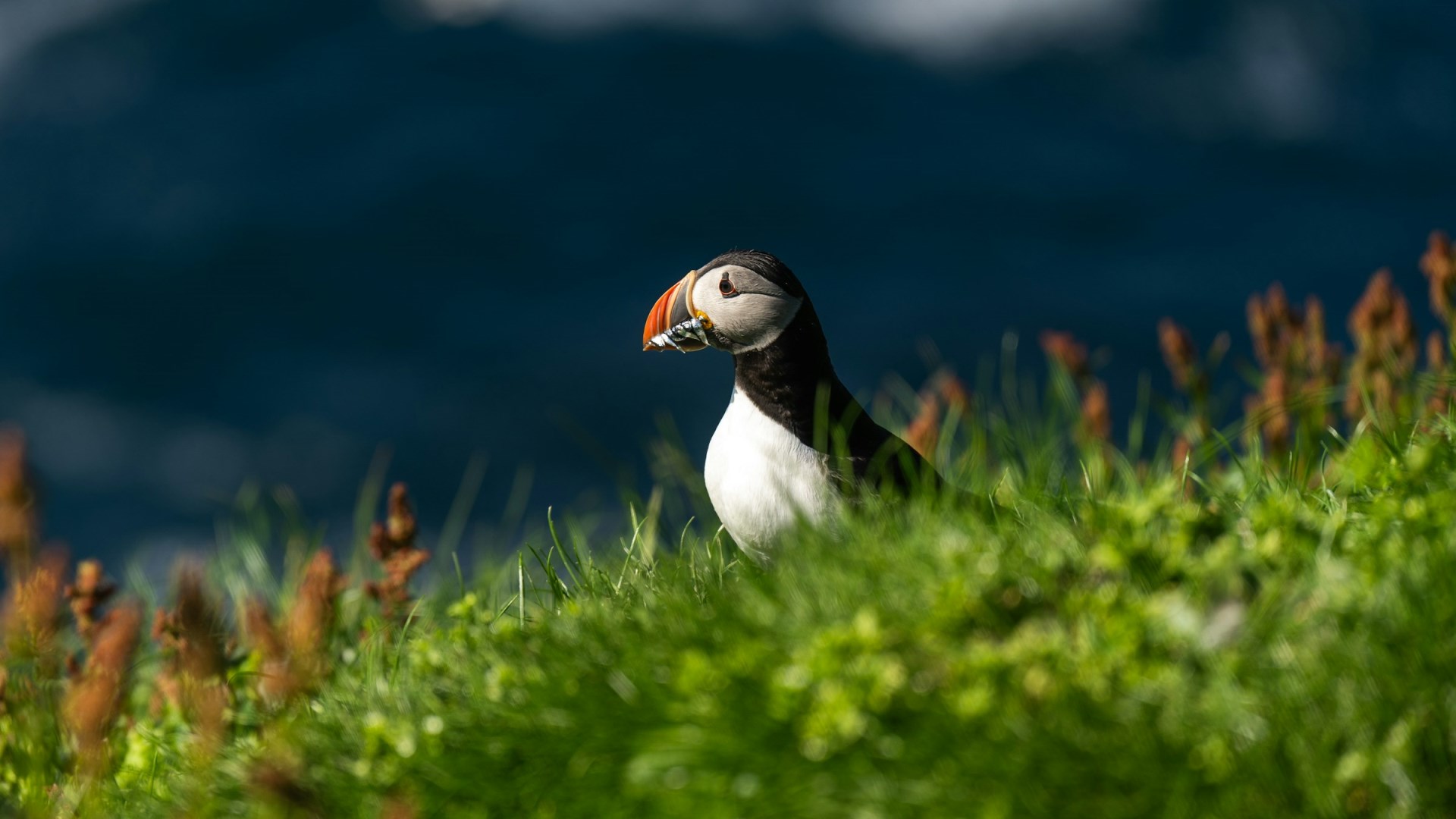  Photo Credit: Photo by Xu Haiwei on Unsplash