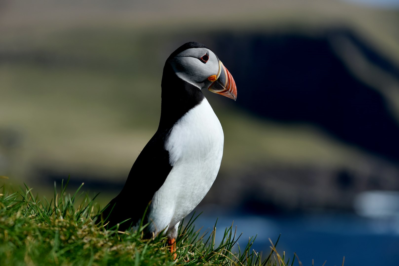  Photo Credit: Photo by Guilherme Romano on Unsplash