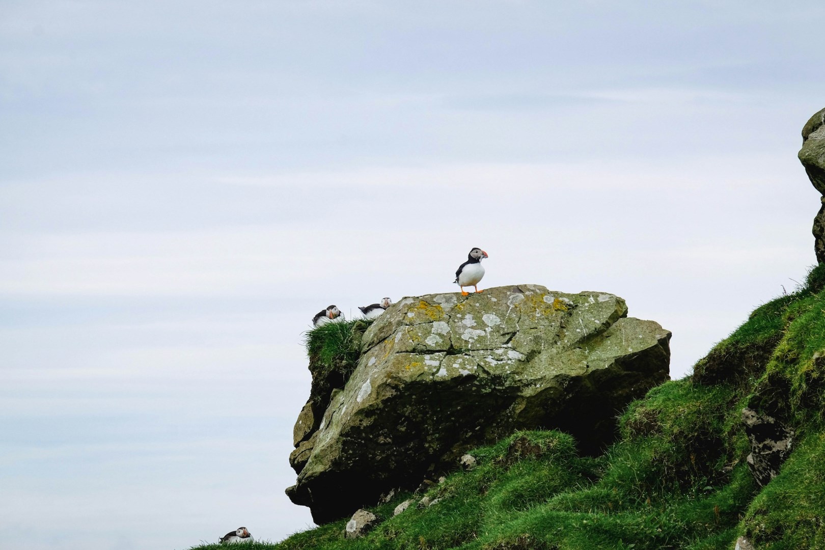  Photo Credit: Photo by Jessica Pamp on Unsplash