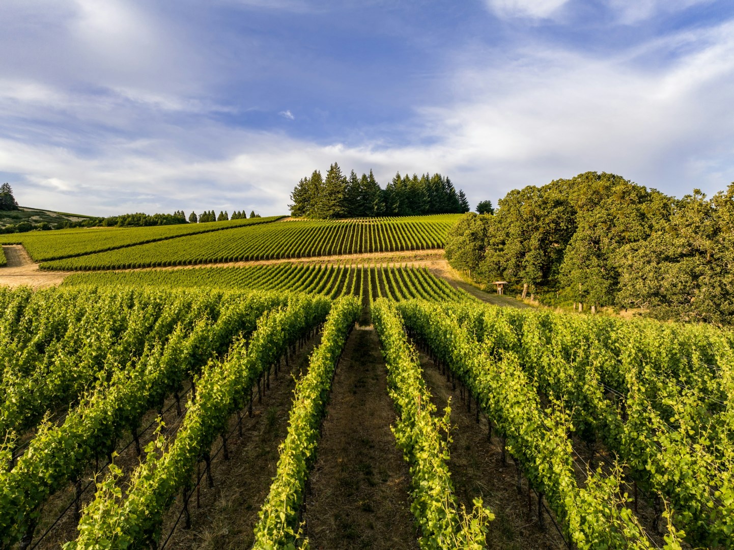Willamette Valley