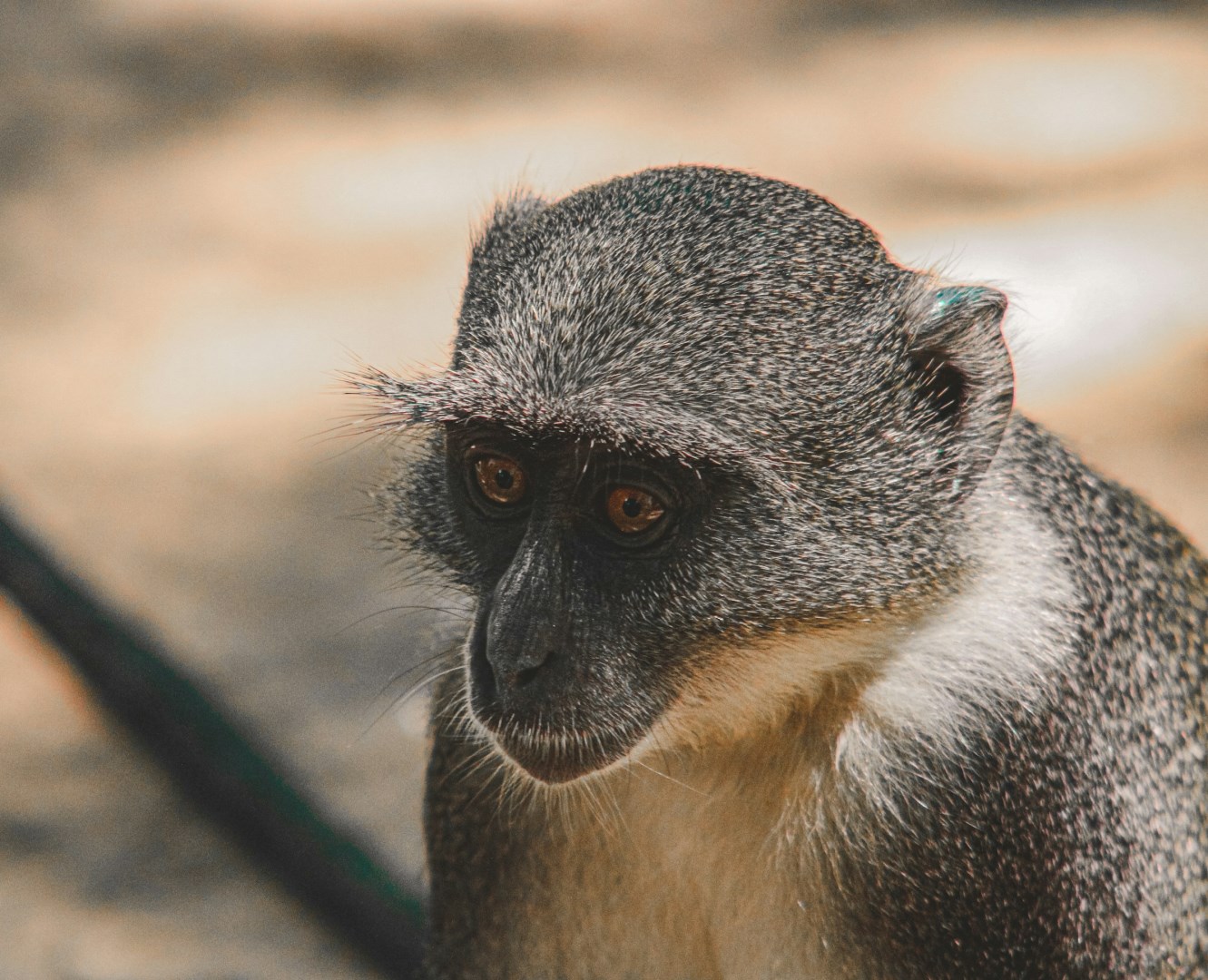  Photo Credit: Photo by Gideon Karanja on Unsplash