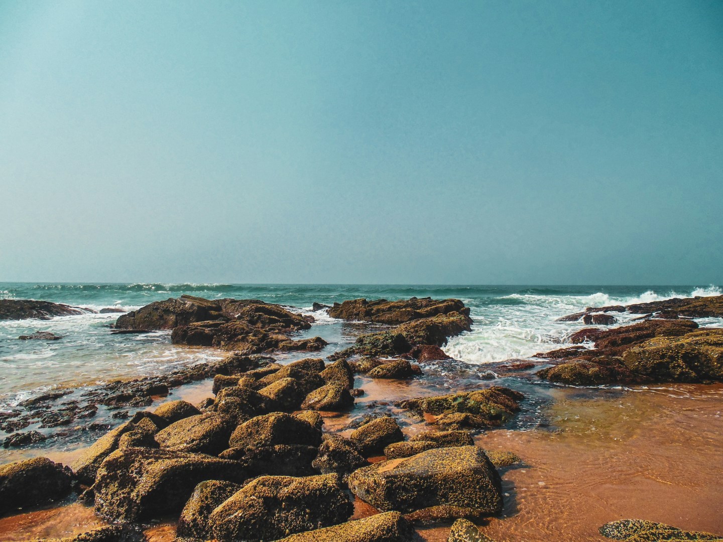  Photo Credit: Photo by Juanita Geldenhuys on Unsplash
