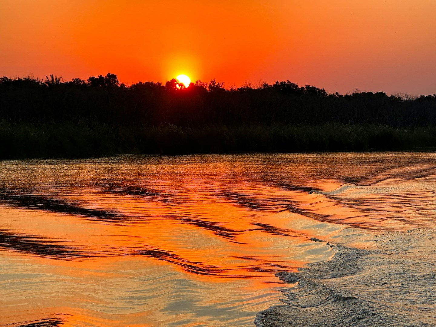  Photo Credit: Photo by Robbie Cheadle on Unsplash