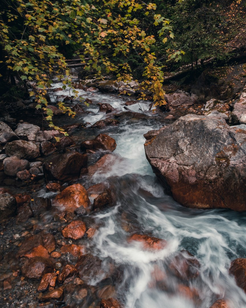  Photo Credit: Photo by Max LaRochelle on Unsplash