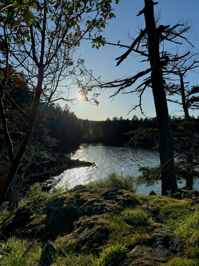 Ruckle Park - Photo Credit: Photo by Angelik Ifurung on Unsplash