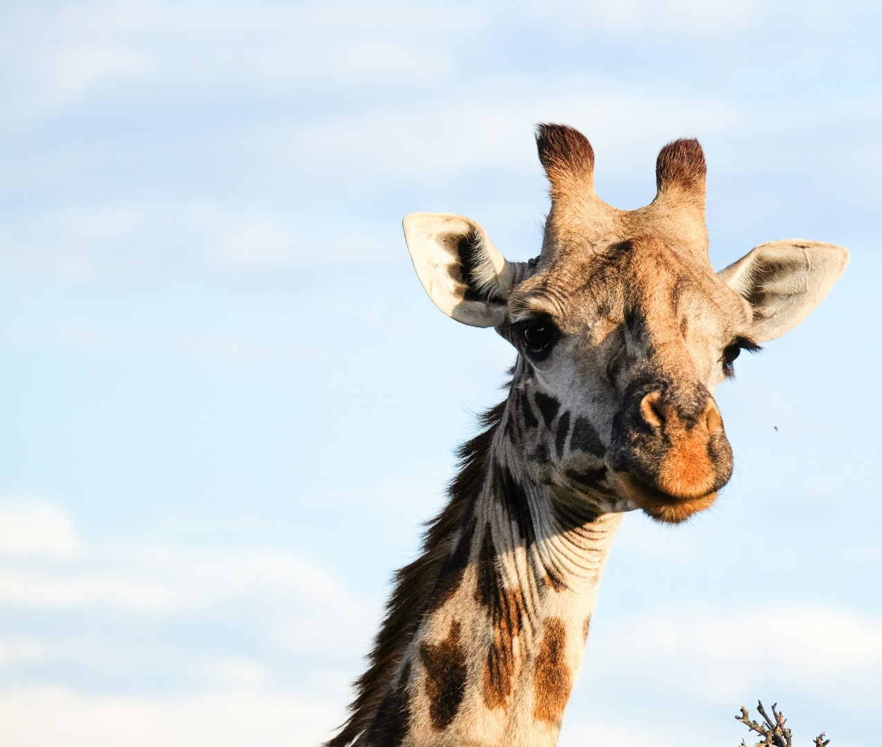  Photo Credit: Photo by Jessica Pamp on Unsplash