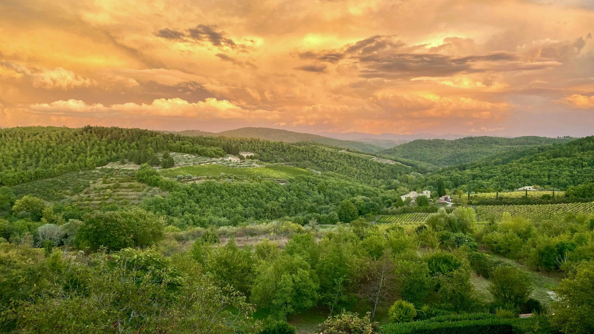 Castellina in Chianti