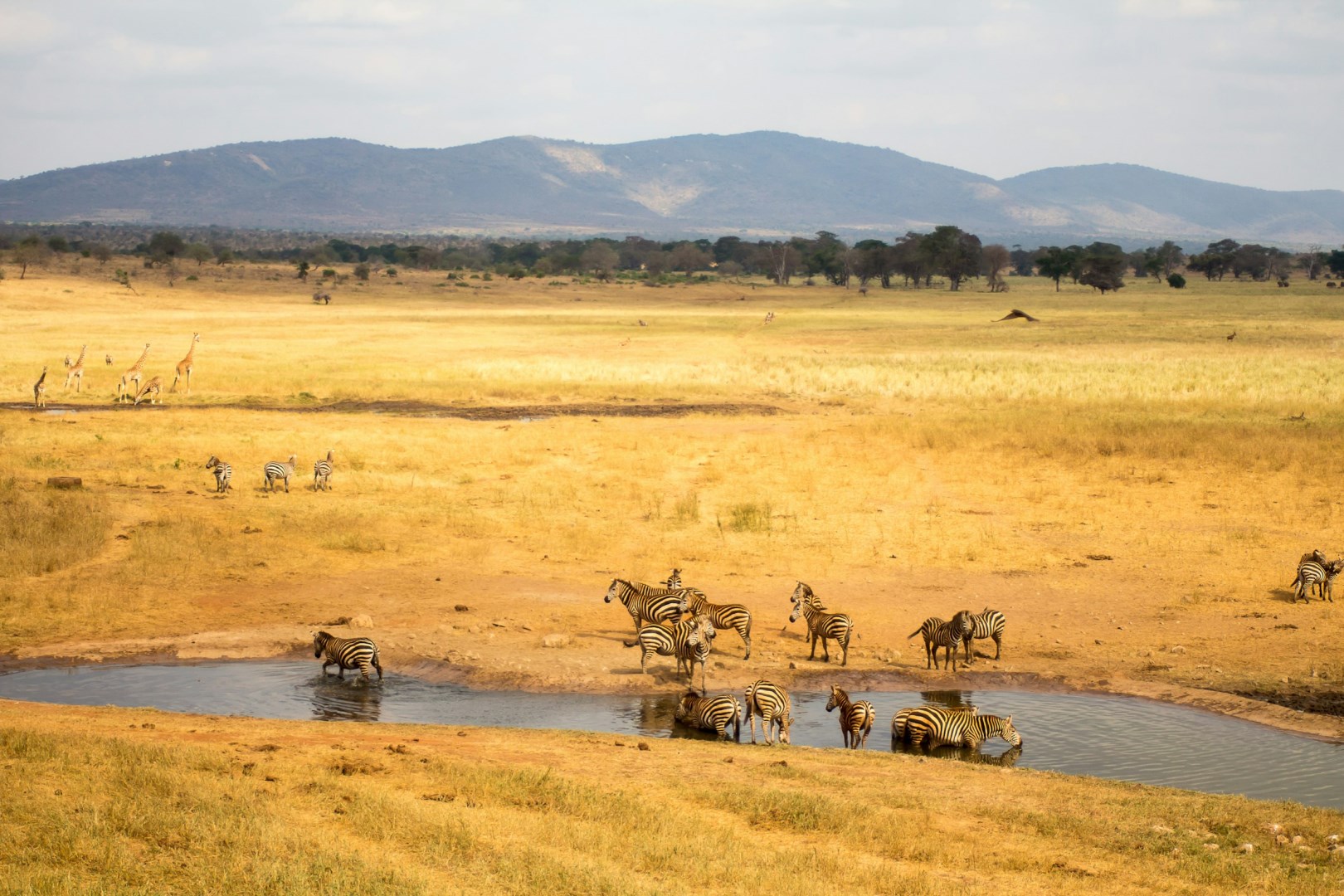 Taita Hills - Photo Credit: Photo by Omoniyi David on Unsplash