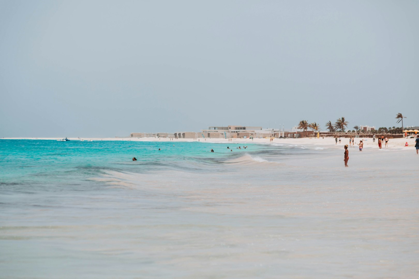  Photo Credit: Photo by Bruno Martins on Unsplash