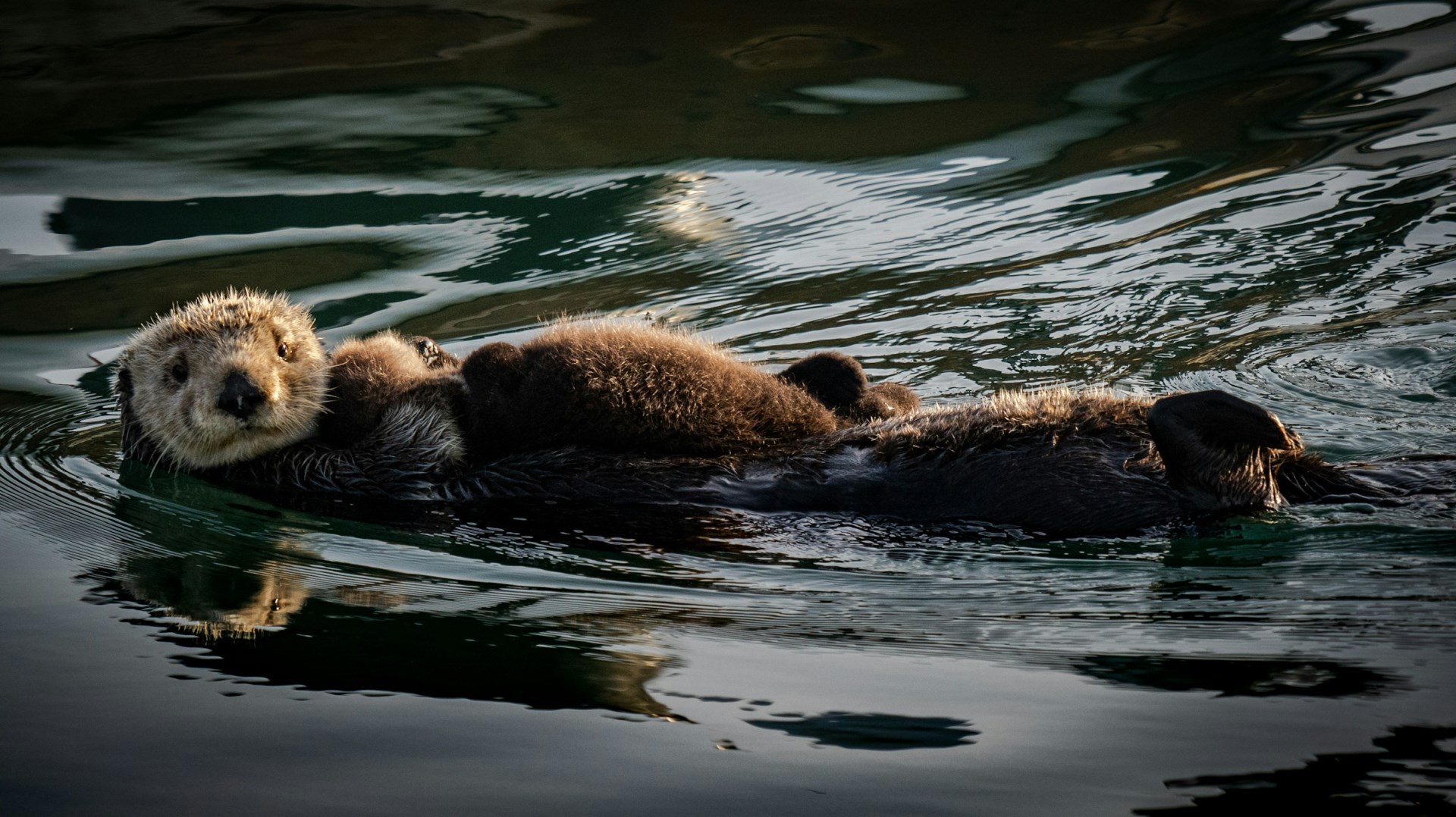  Photo Credit: Photo by Anchor Lee on Unsplash