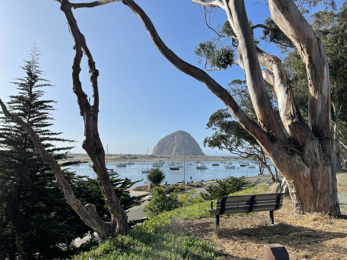  Photo Credit: Photo by Octavia Krug on Unsplash