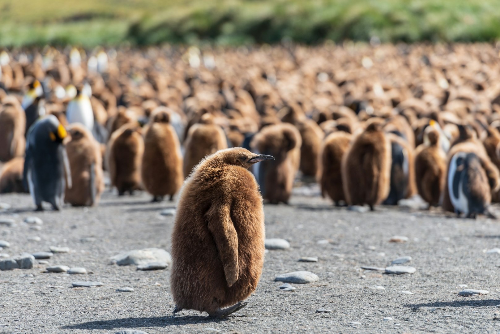  Photo Credit: Photo by Paul Carroll on Unsplash