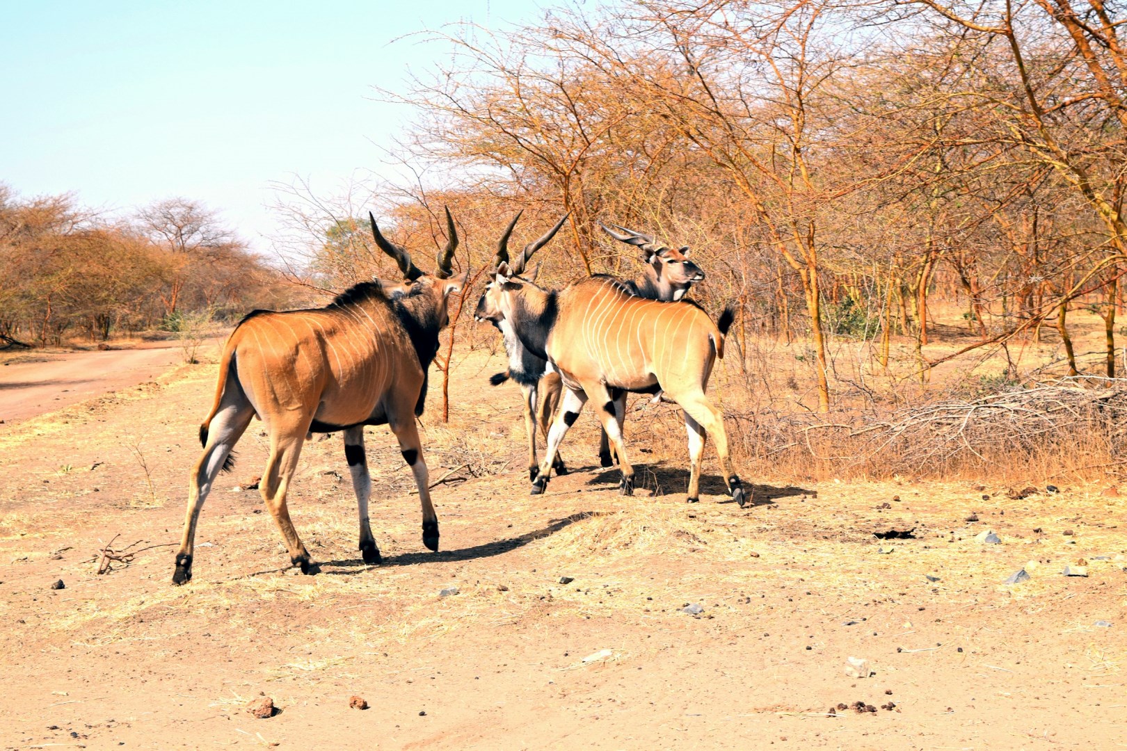  Photo Credit: Photo by Omoniyi David on Unsplash
