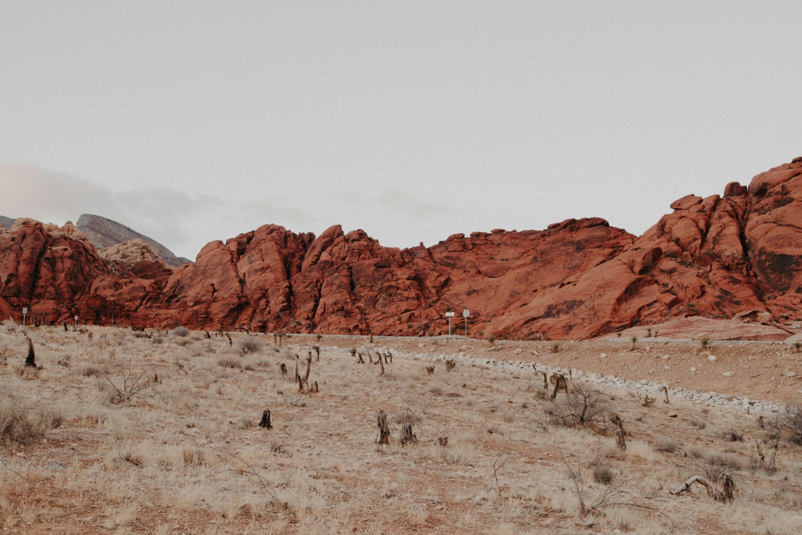  Photo Credit: Photo by Quilia on Unsplash