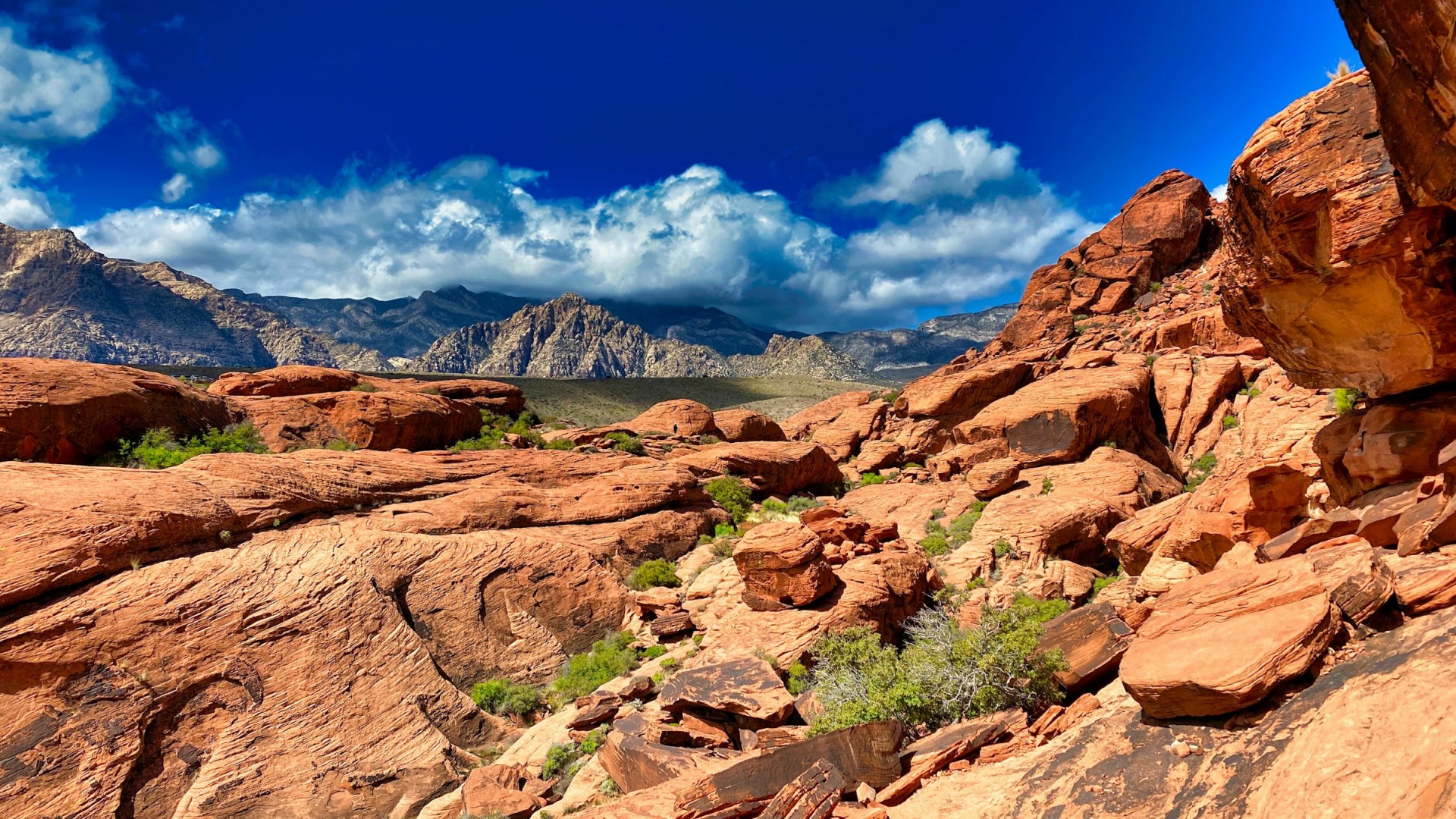 Red Rock Canyon National Conservation Area