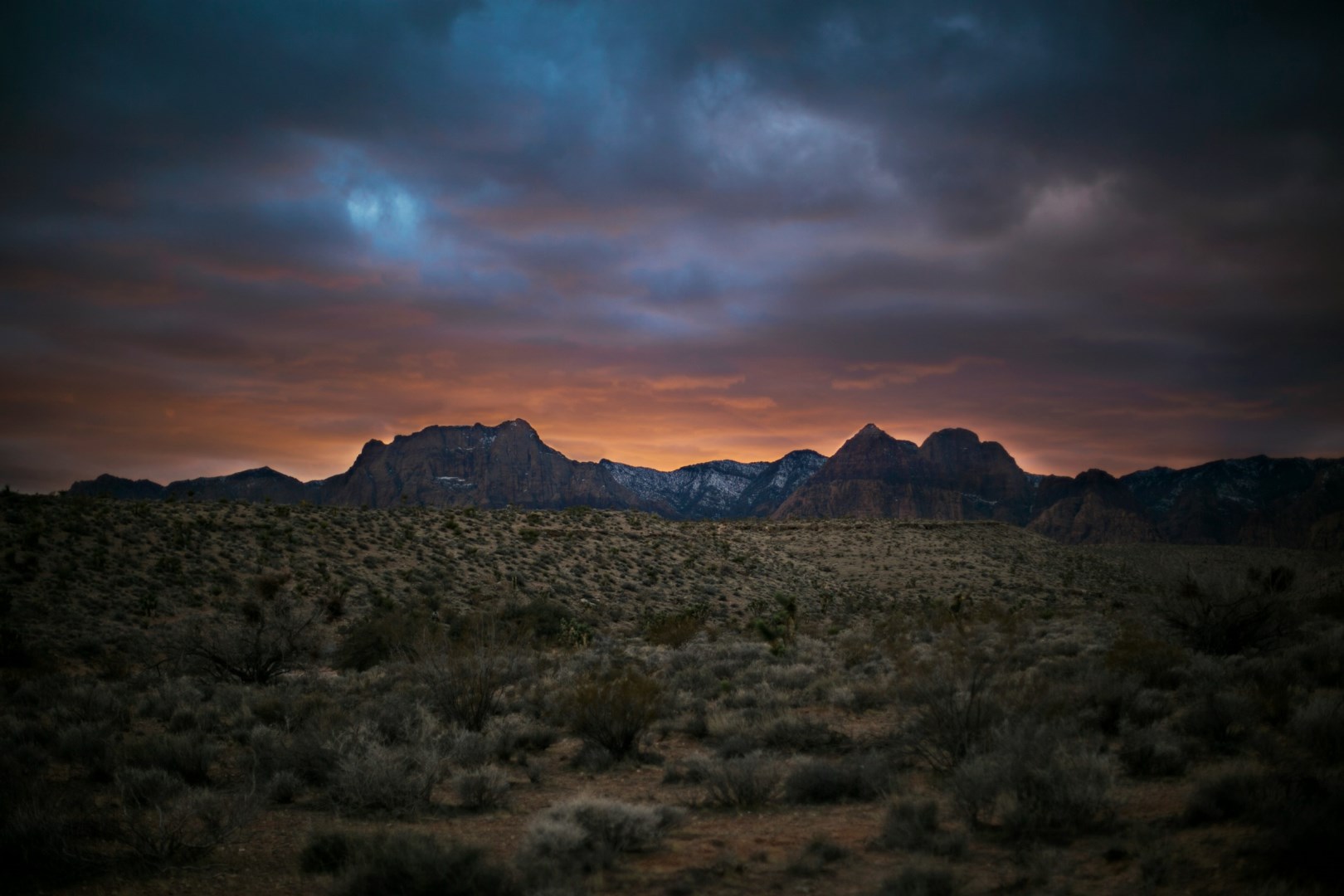  Photo Credit: Photo by Kitera Dent on Unsplash