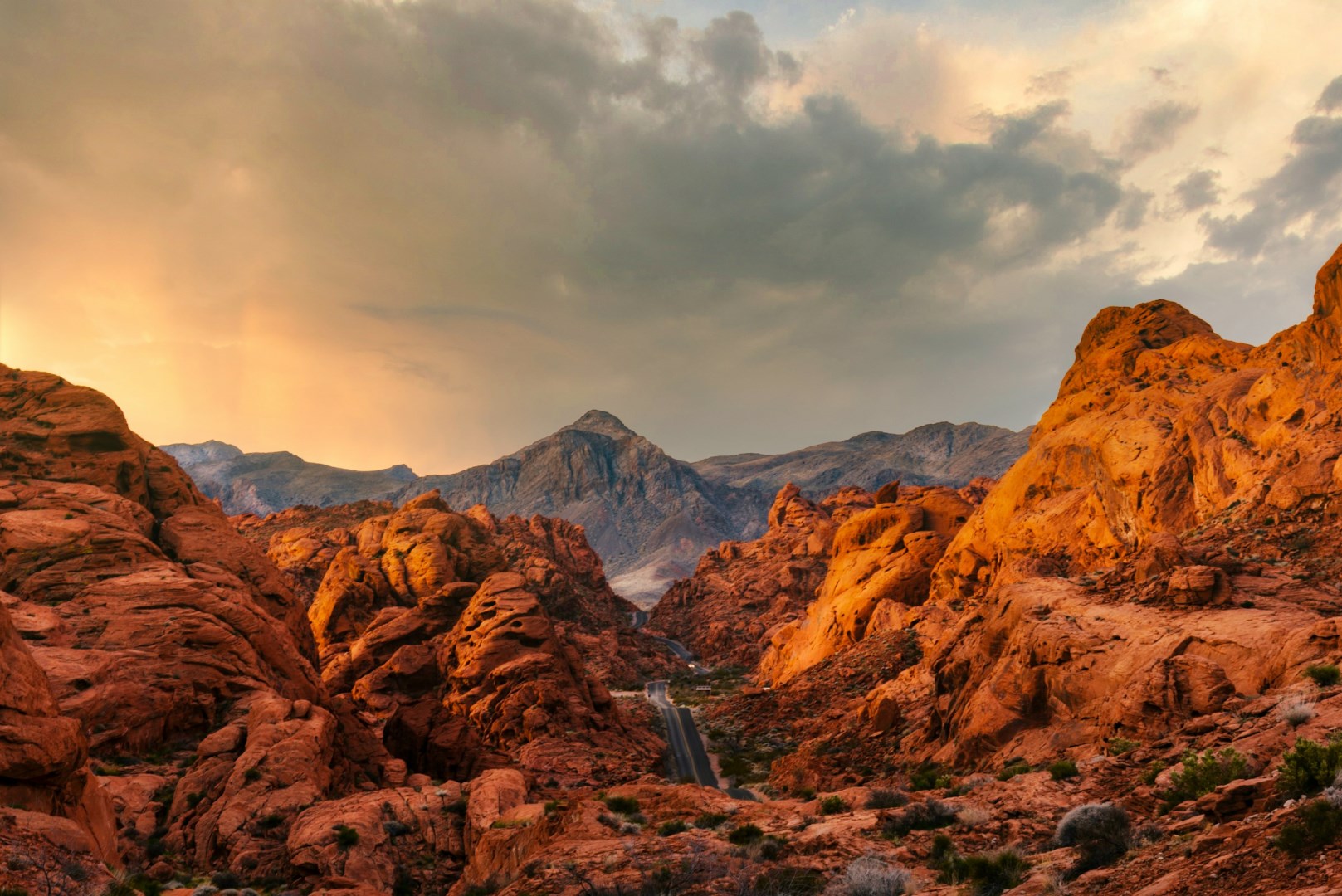  Photo Credit: Photo by joel protasio on Unsplash