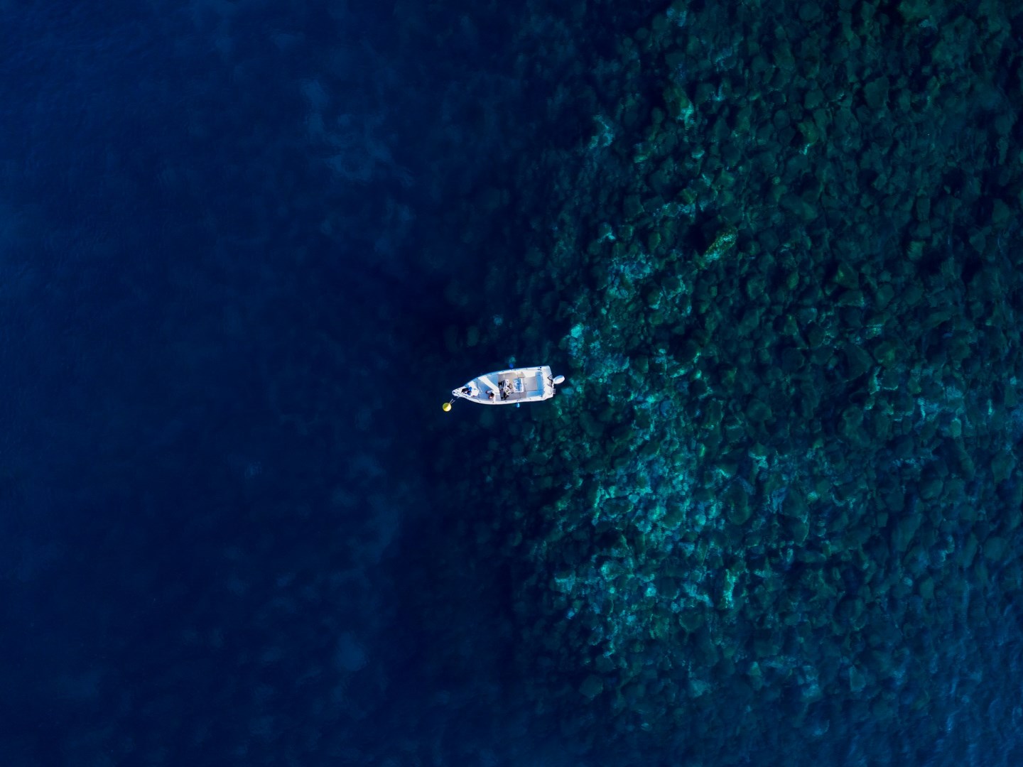  Photo Credit: Photo by Thomas Lamars on Unsplash